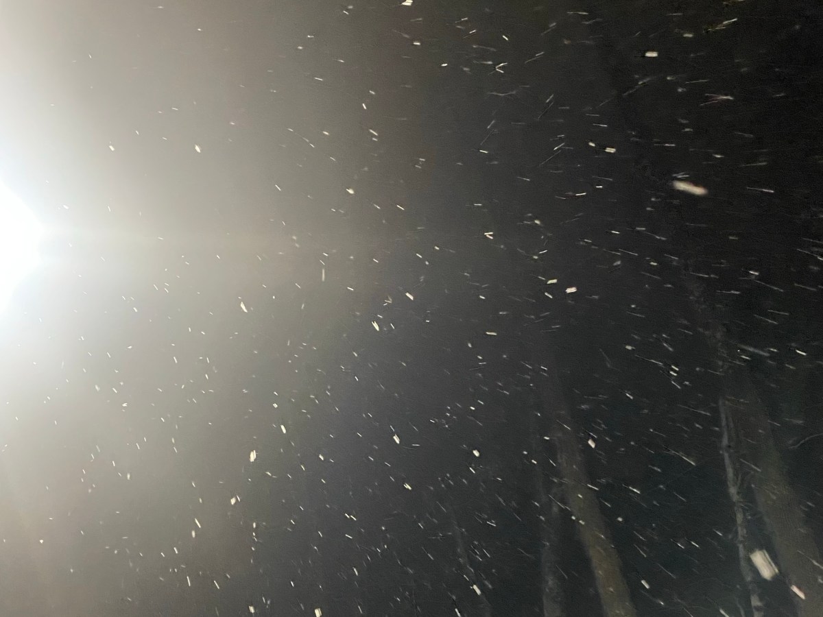 Sitting in the Dark: A&nbsp;Devotion